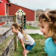 North Harford High School