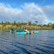 Kayaking on Blackwater national wildlife refuge