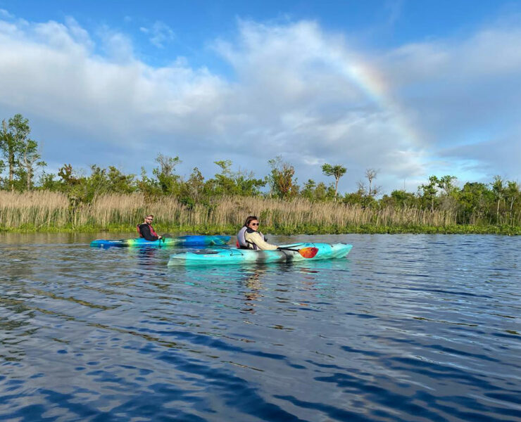 Kayaking on Blackwater national wildlife refuge
