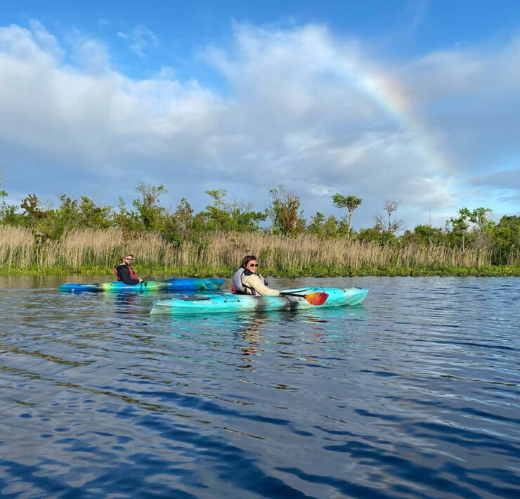 Kayaking on Blackwater national wildlife refuge