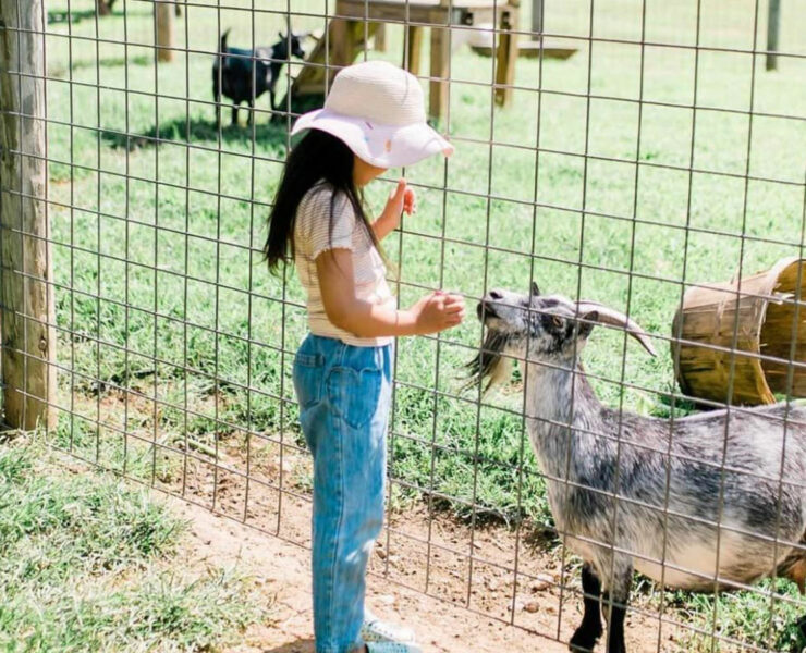 young girl in cute outfit with goat