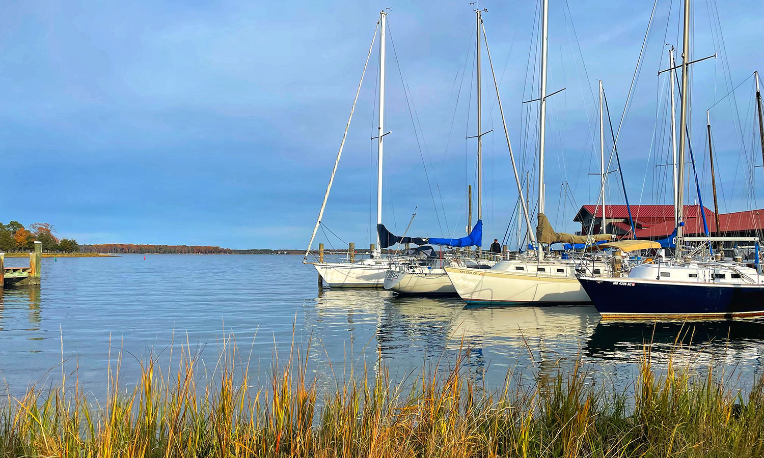 St. Michaels, Maryland, boats on water