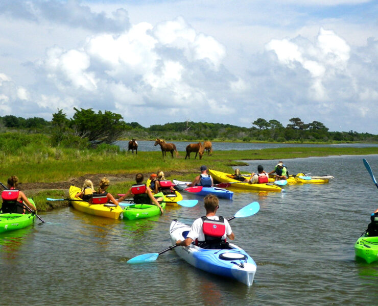 Assateague Outfitters kayak group near wild ponies