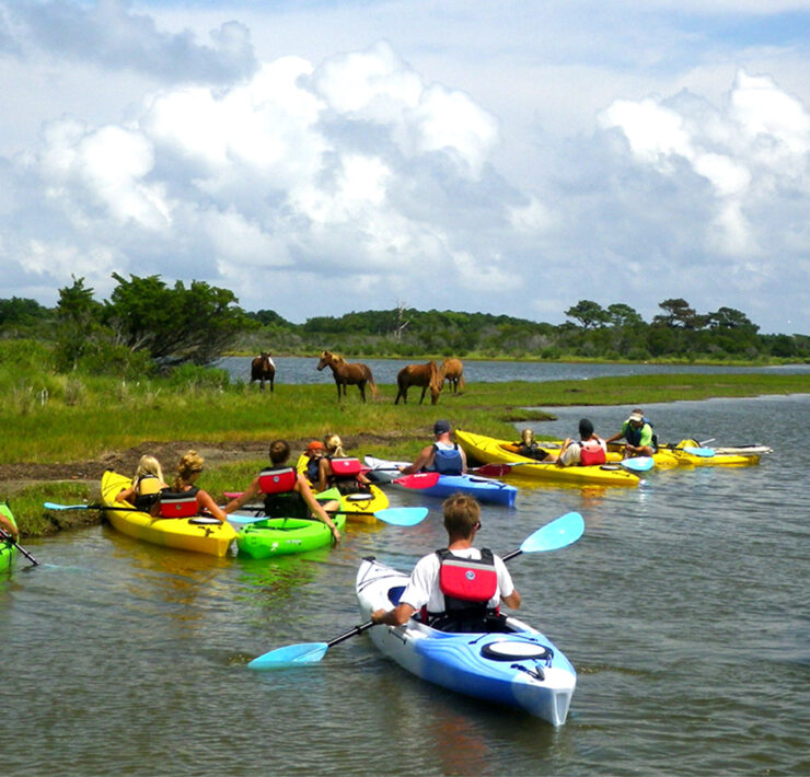 Assateague Outfitters kayak group near wild ponies