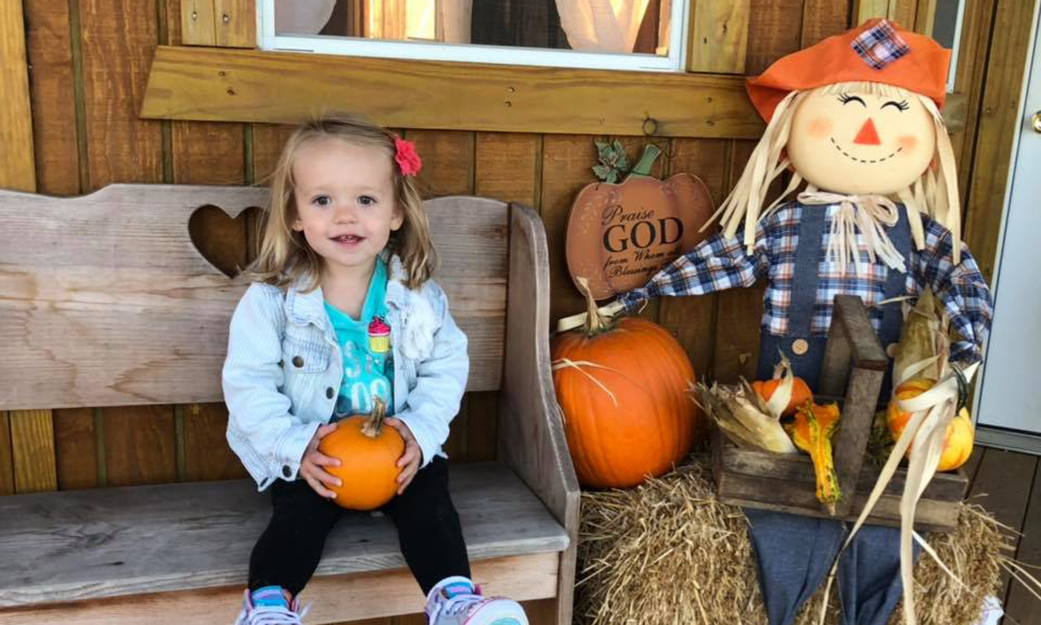 cute little girl with pumpkin
