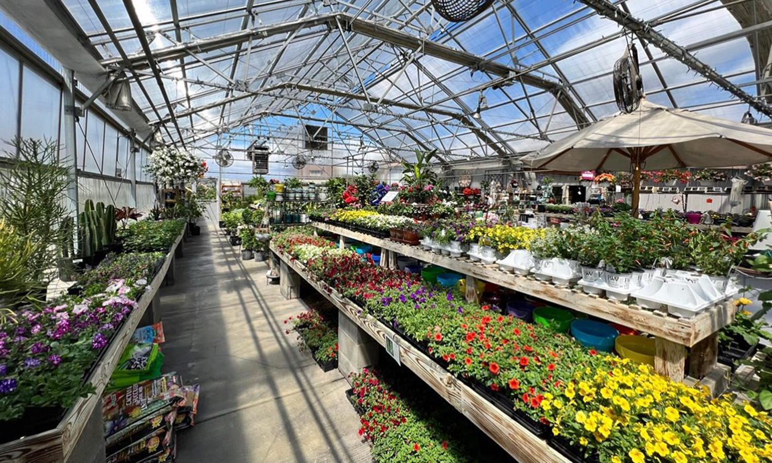 plant greenhouse