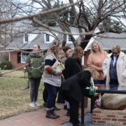 visitors looking at the rock
