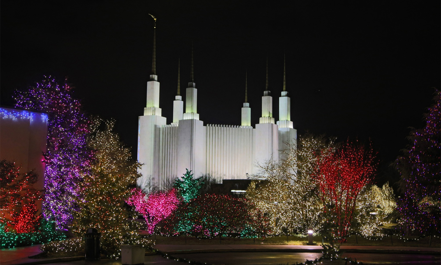 Festival of Lights