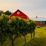 barn and vineyard