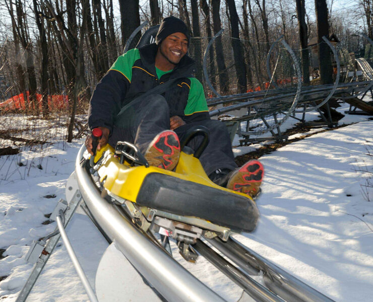 Wist mountain coaster