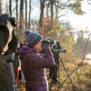 Birders squint into their binoculars to identify the members of a raft of ducks in a cove at Eastern Neck National Wildlife Refuge in Kent County, MD