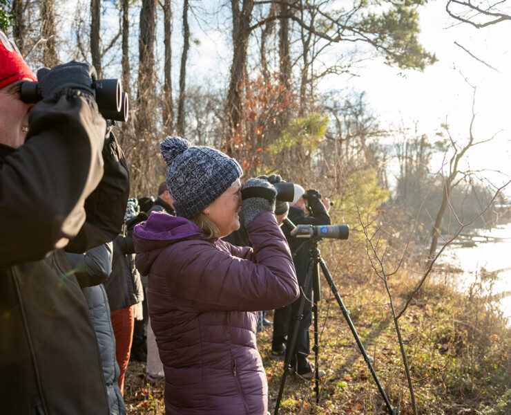 Birders squint into their binoculars to identify the members of a raft of ducks in a cove at Eastern Neck National Wildlife Refuge in Kent County, MD