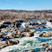Lead Photo: A view of Great Falls from Olmsted Island.