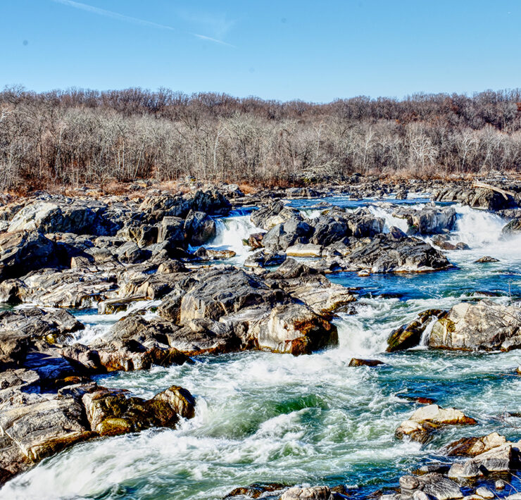 Lead Photo: A view of Great Falls from Olmsted Island.