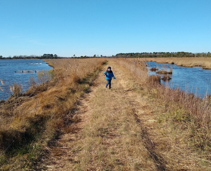 The author’s son at Deal Island WMA in Somerset County, MD.