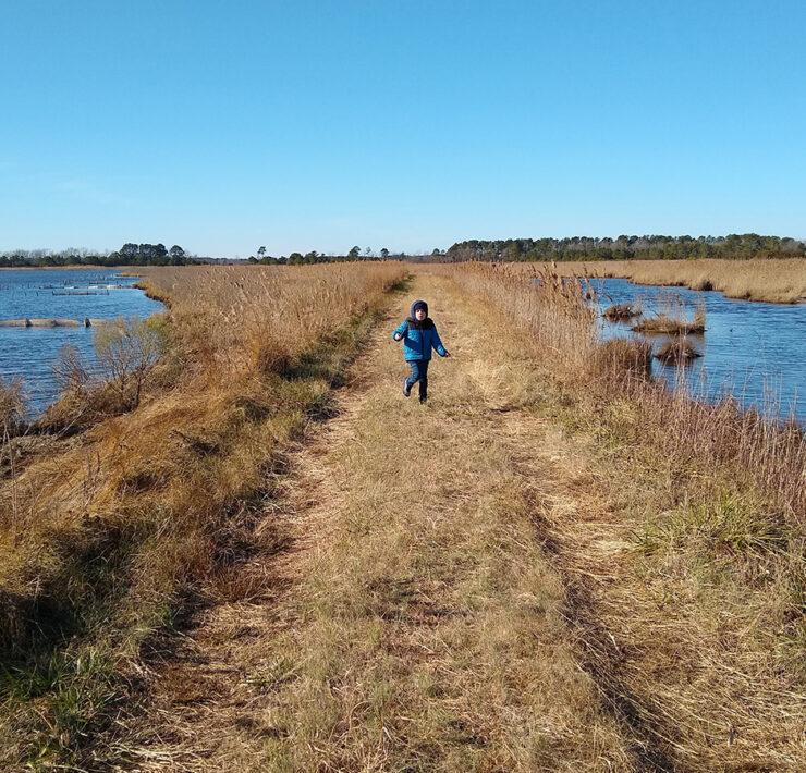 The author’s son at Deal Island WMA in Somerset County, MD.