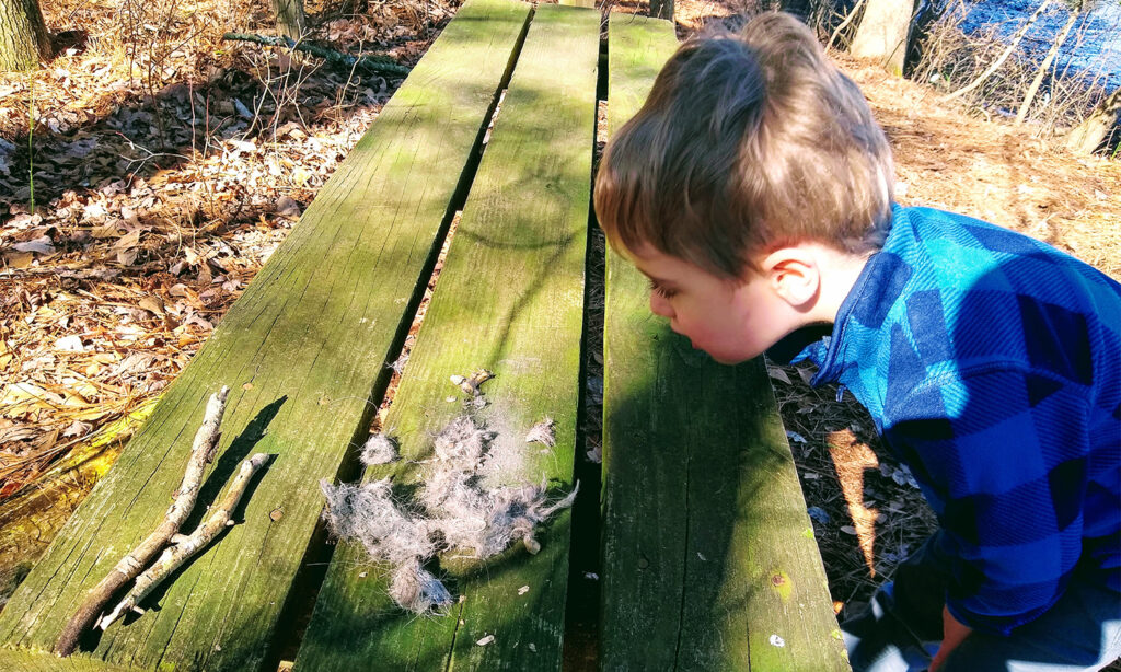 Hidden Hiking Trails on the Eastern Shore » Maryland Road Trips