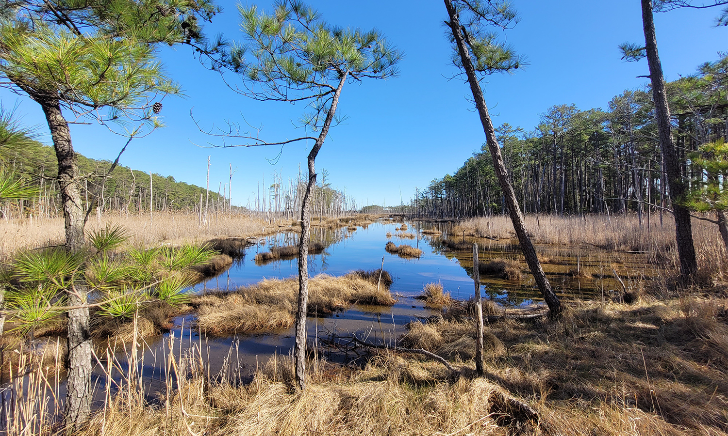 Top Ten Kayak Trails on the Eastern Shore (Delmarva)