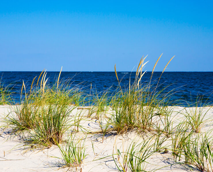 Flag Ponds Nature Park