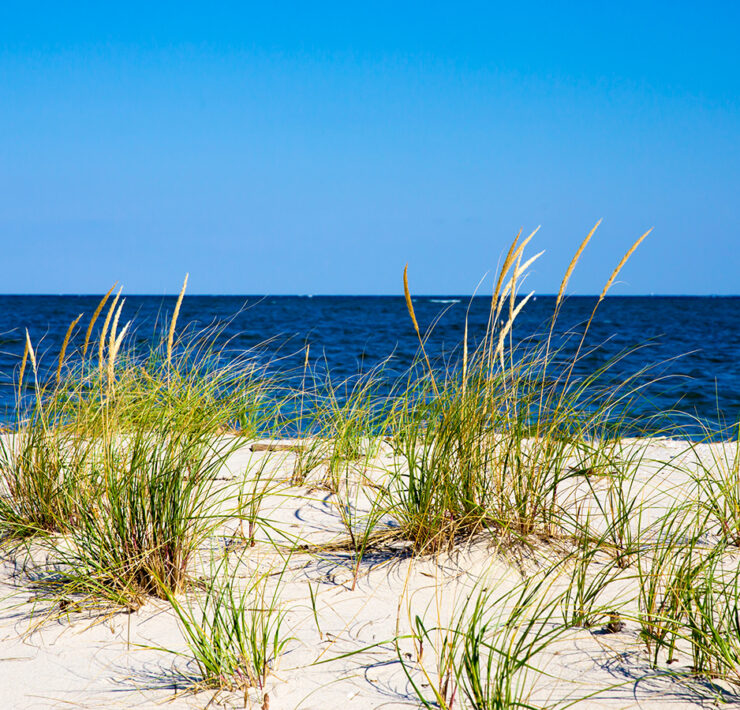 Flag Ponds Nature Park