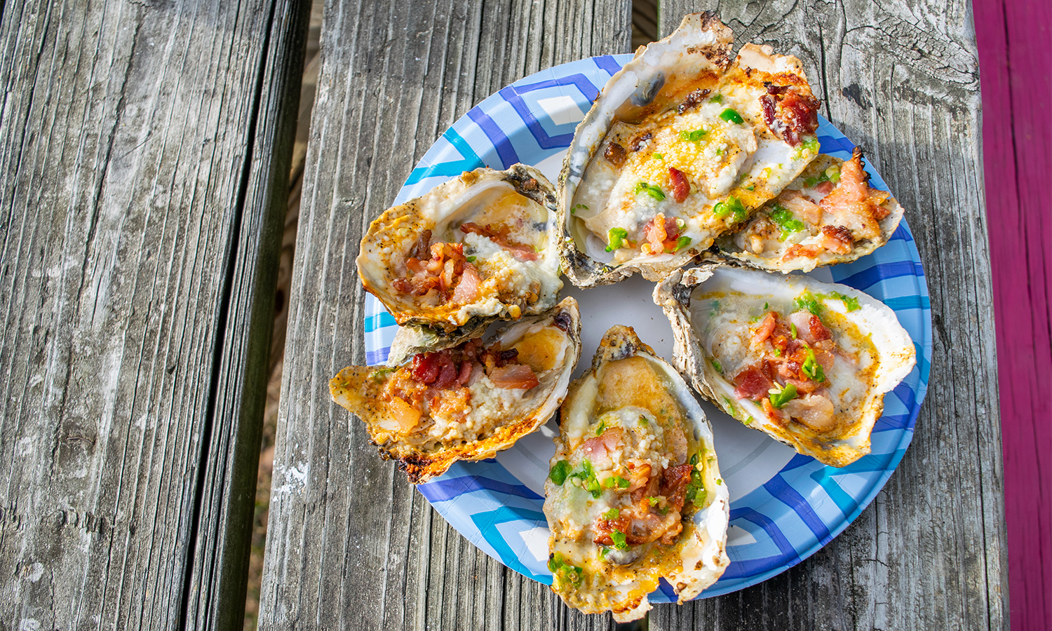 Plate of oysters