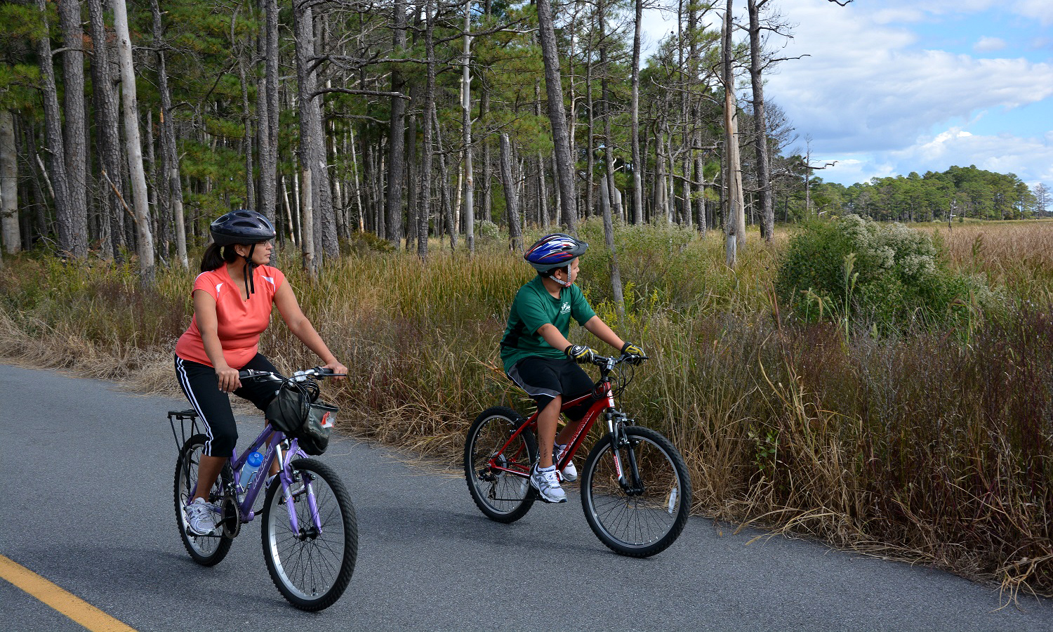 Wildlife Drive at Blackwater National Wildlife Refuge