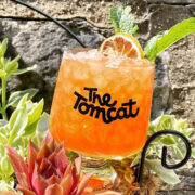 An orange cocktail in a neat glass near some succulents