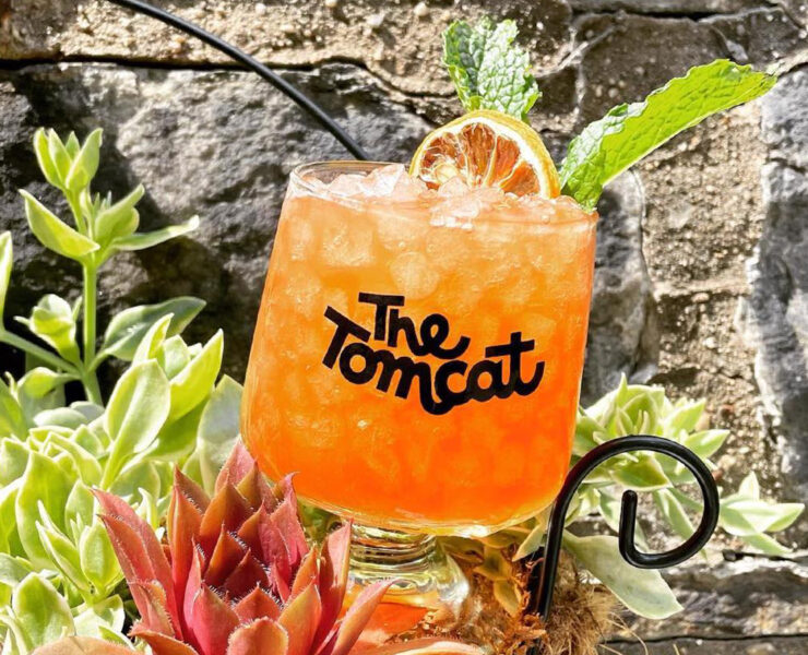 An orange cocktail in a neat glass near some succulents