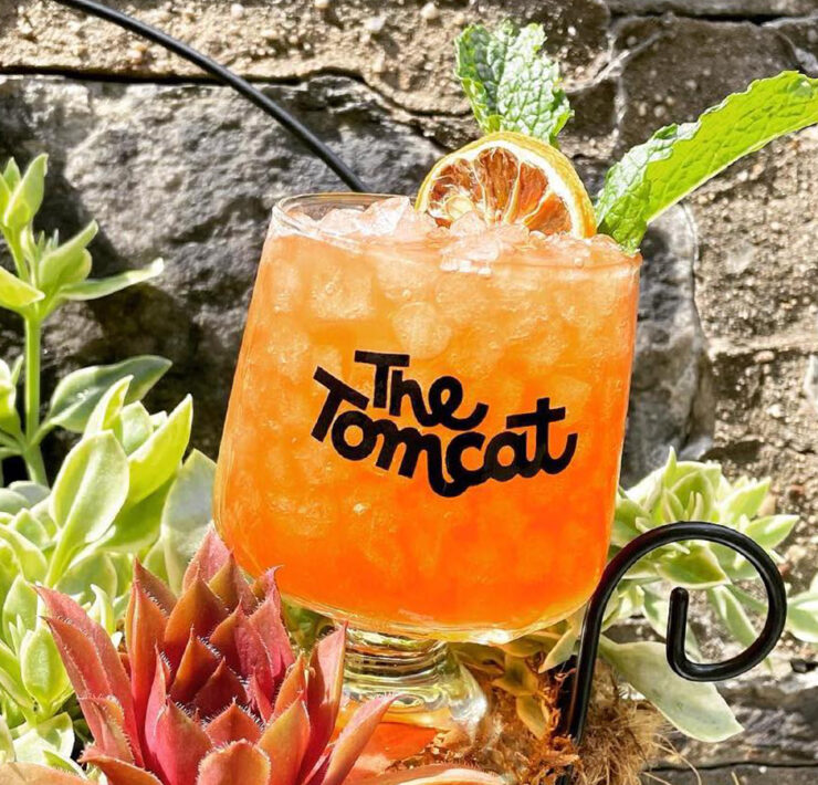 An orange cocktail in a neat glass near some succulents