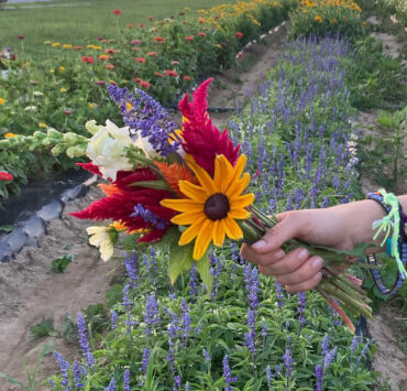 Person holding a bouquet of multi colored flowers in front of rows of flowers