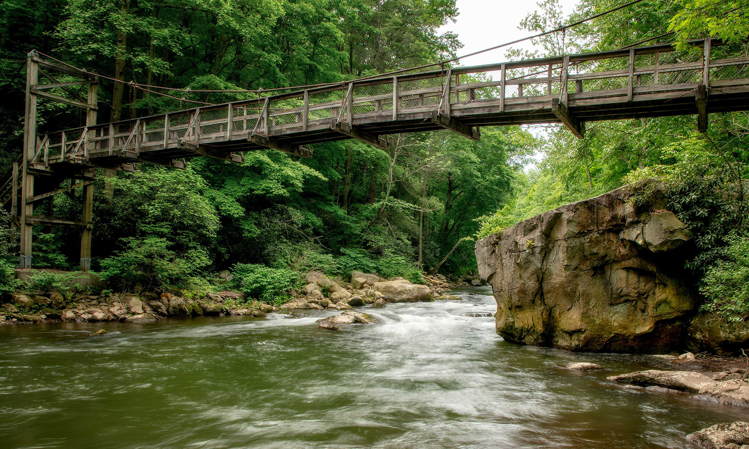 Wooden bridge over a heavily forested river