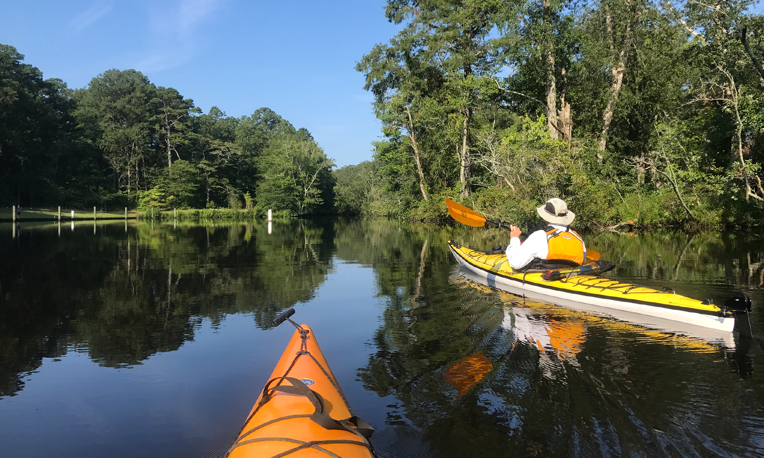 Paddling in kayaks down a forest river