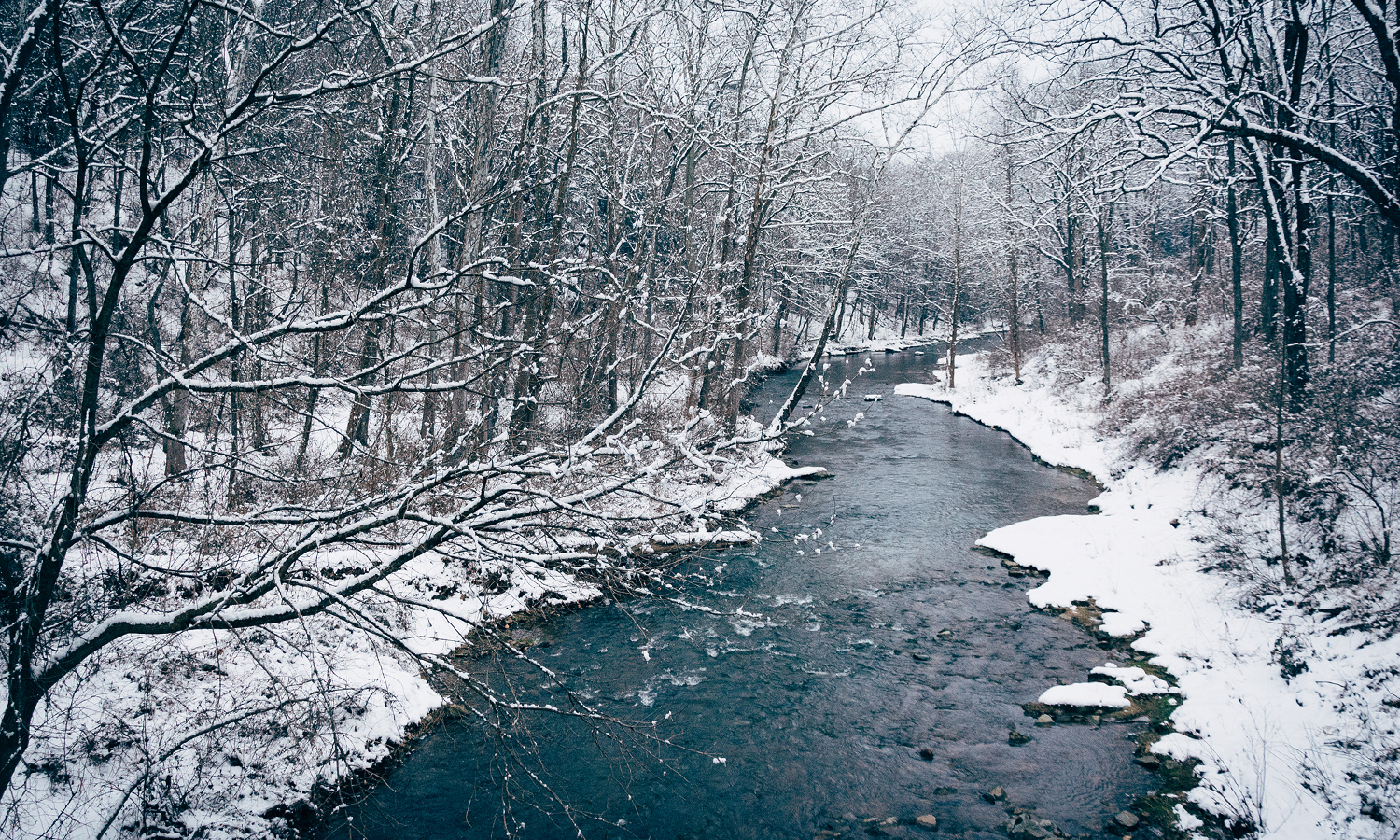 Forest river in the middle of winter with snow everywhere