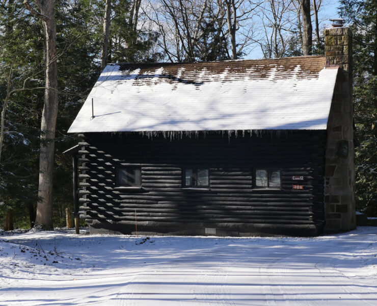 cabin in the woods in Maryland in winter