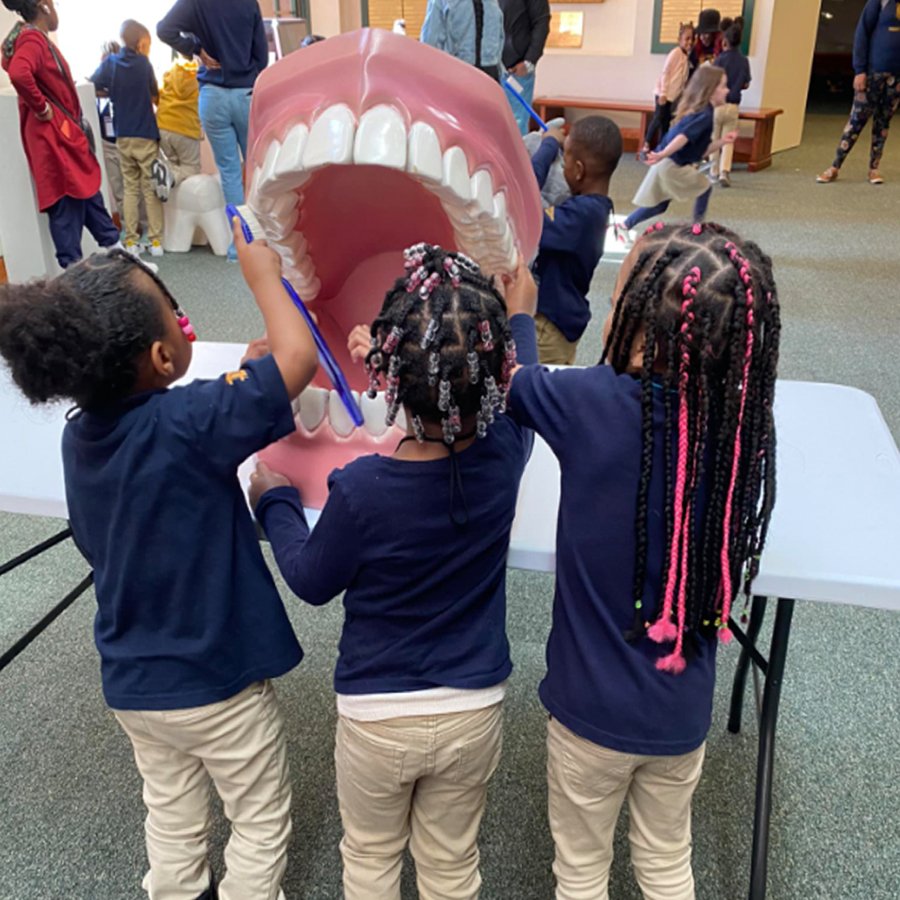 Kids interacting with giant teeth at the museum