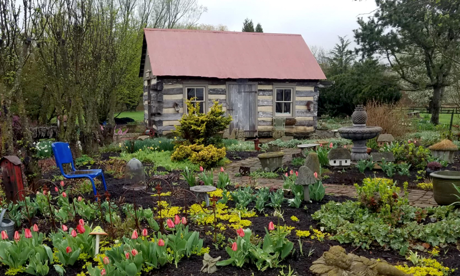 Commercial garden with a wooden shed