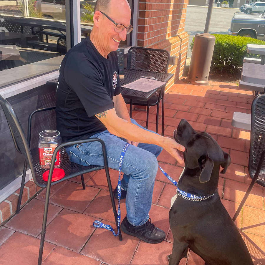 Dog sitting with owner outside on brewery patio