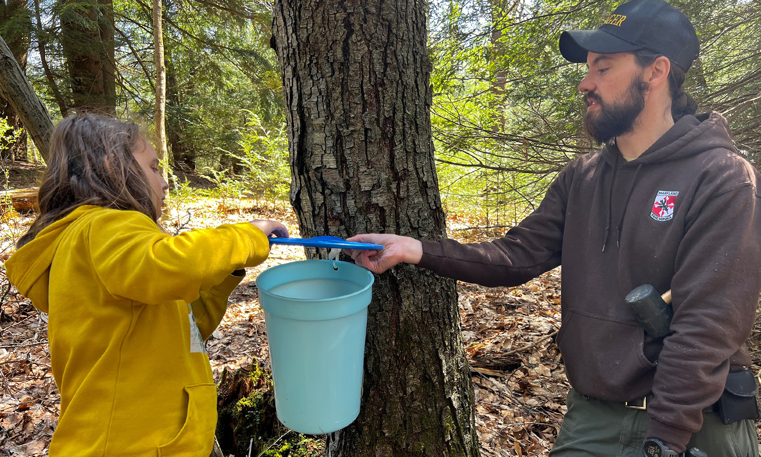 New Germany State Park Maple Syrup