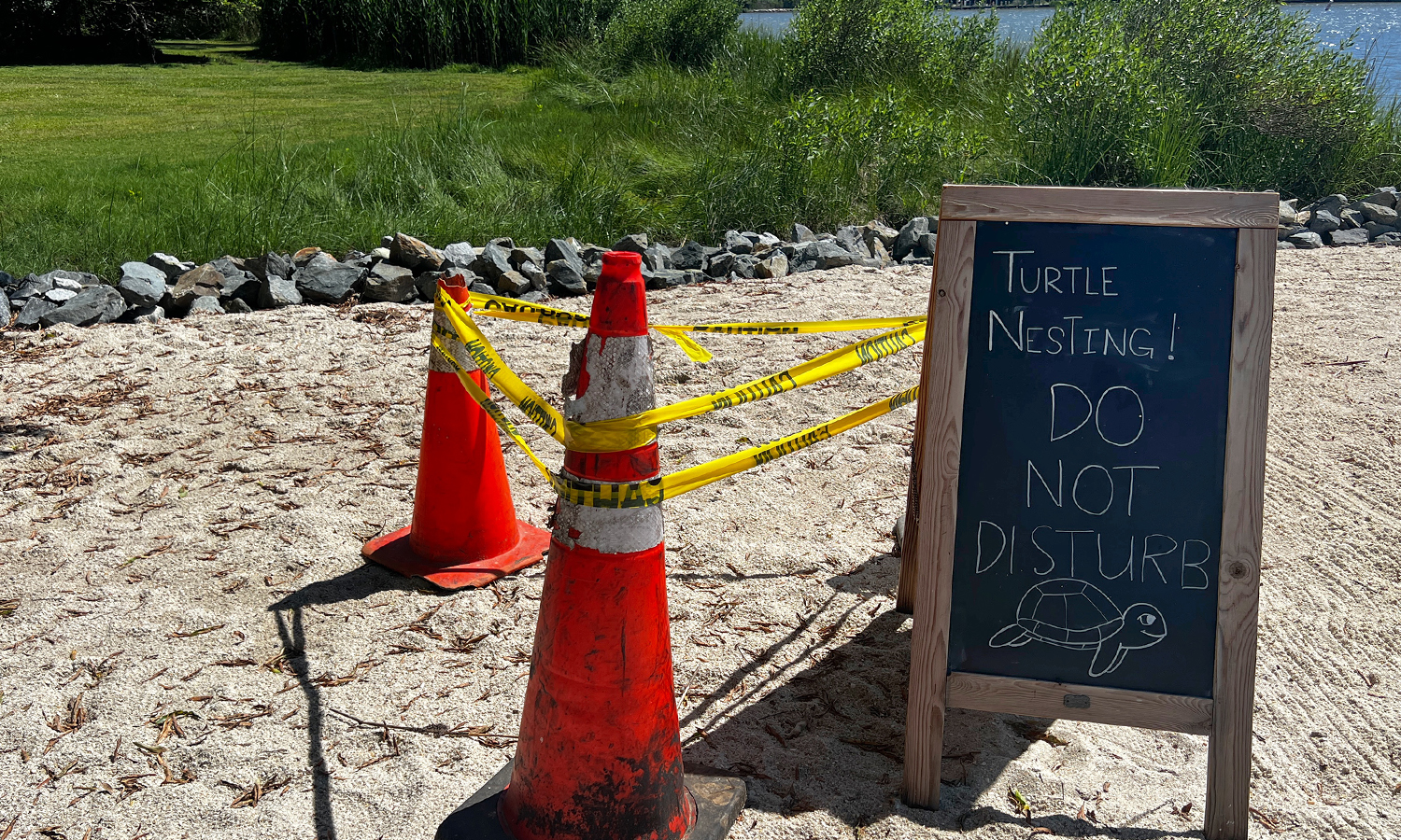 Sign on the beach alerting guests of turtle nesting